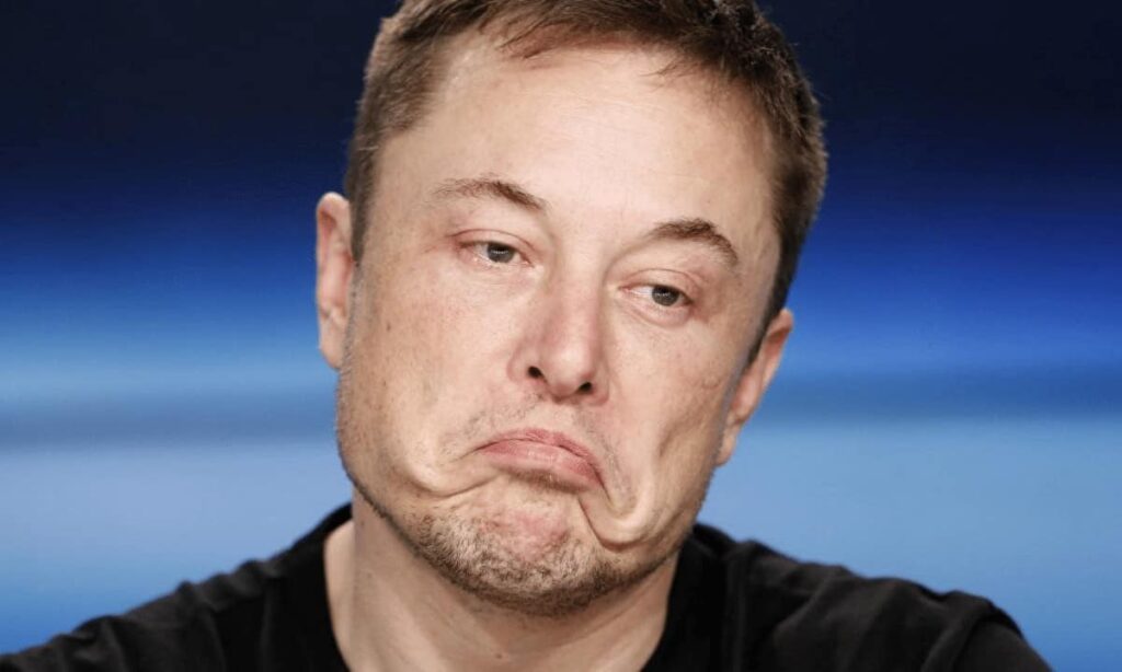 Crypto Twitter Mocks Elon Musk After He Tried To Bully Michael Saylor