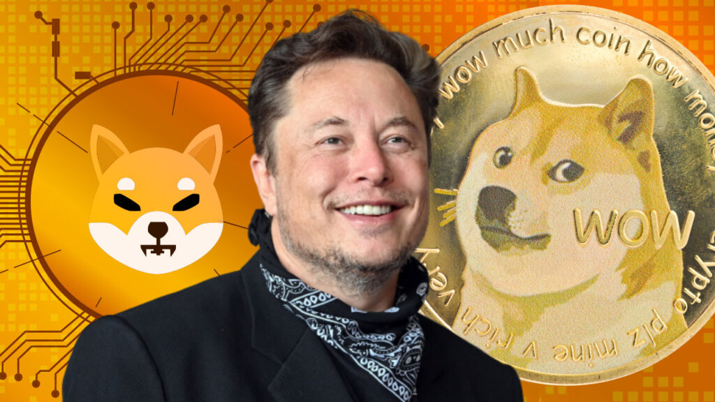 Elon Musk Discusses Important Dogecoin Improvements, Confirms He's Not Investing in Shiba Inu