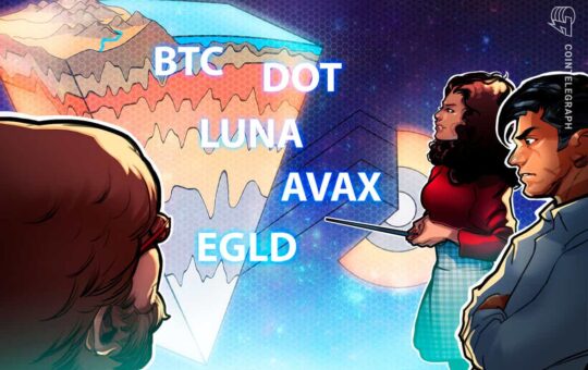 BTC, DOT, LUNA, AVAX, EGLD