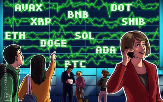 BTC, ETH, BNB, ADA, SOL, XRP, DOT, SHIB, DOGE, AVAX