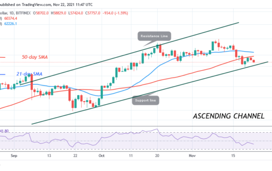 Bitcoin (BTC) Price Prediction: Bitcoin Hovers above $55.6k as Bitcoin Looks Oversold