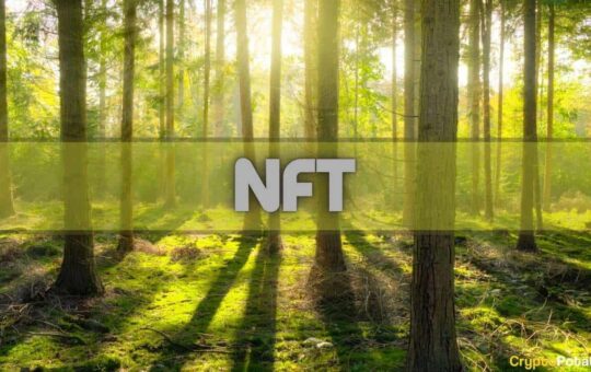 Binance Partners With K-Pop Leader to Work on Creating Eco-Friendly NFTs