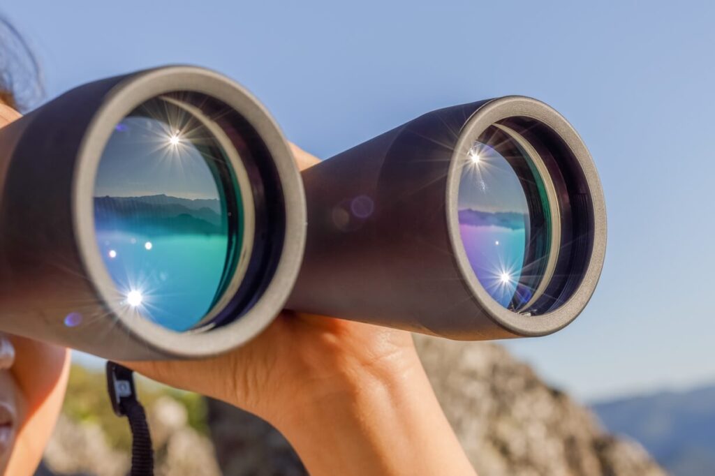 Bitcoin Holders Search for