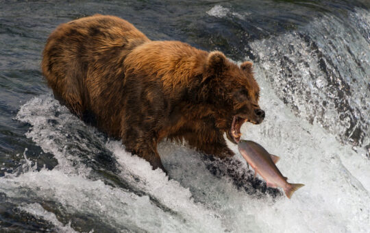 Rising rates would attract investors to crypto, says Pantera CEO