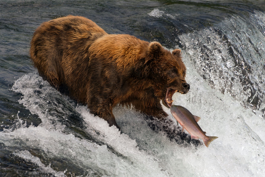 Rising rates would attract investors to crypto, says Pantera CEO