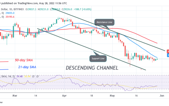 Bitcoin Price Prediction for Today May 28: BTC Price Is Stuck below $29.5K