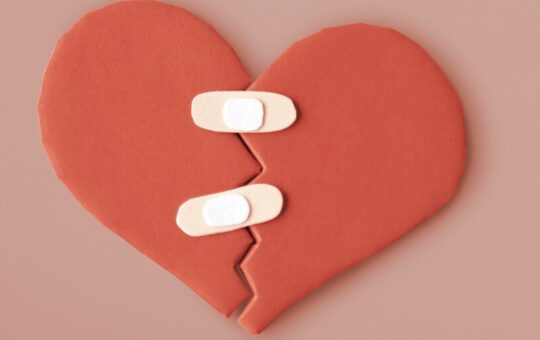 Do Kwon 'Heartbroken' Over Terra Demise