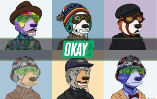 Okay Bears NFT Collection: The Complete Guide