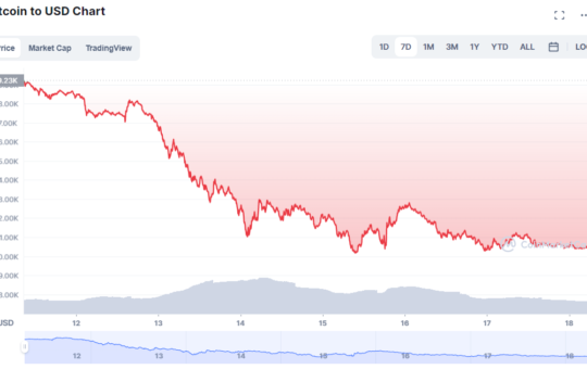 Should I buy bitcoin now