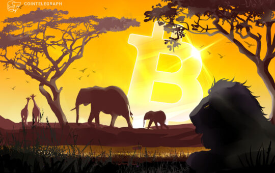 CAR president urges citizens to understand Bitcoin to bring long-term prosperity