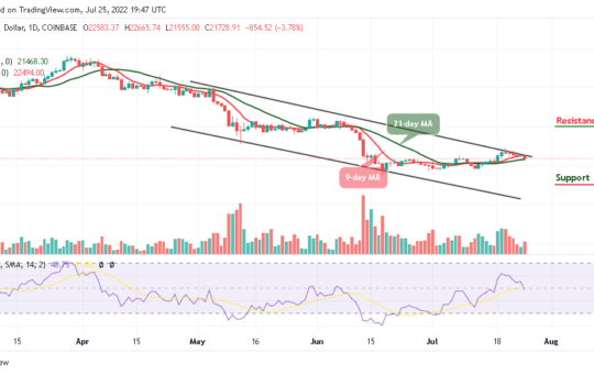 Bitcoin Price Prediction