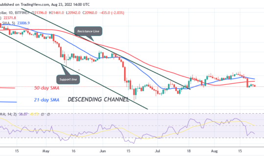Bitcoin Price Prediction for Today August 23: BTC Price Holds in a Range between $20K and $22K