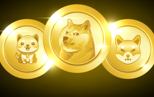 While Gains Have Been Slower Than Most Crypto Assets, the Meme Coin Economy Swells by 24%