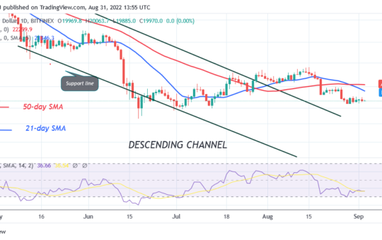 Bitcoin Price Prediction for Today August 31: BTC Price Hovers above $19.5K Crucial Support