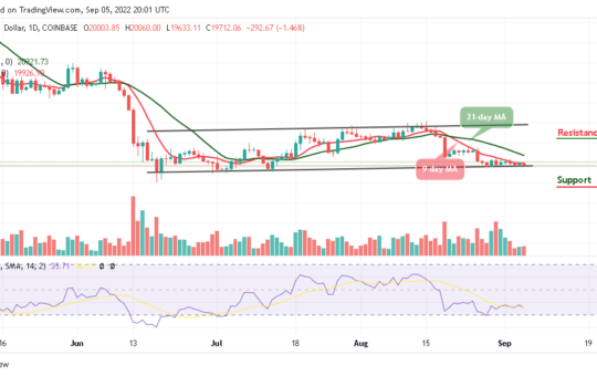 BTC Retraces Below $19,800 as Massive Gains on TAMA