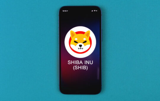 What’s the bull case for Shiba Inu SHIB/USD as whale holdings remain high?