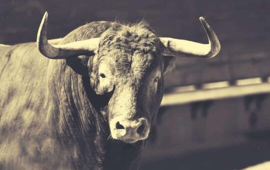 Bitcoin's Next Bull Run Will Start in 2023 According to Bitwise CEO