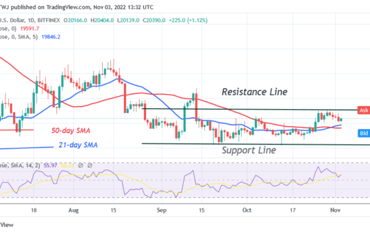 Bitcoin Price Prediction for Today, November 3: BTC Price Slides Downward with a Potential Drop to $19.8K