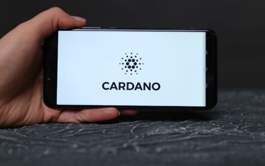 Cardano (ADA/USD) predicted a further 60% decline. Does the price action show this?