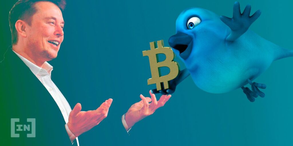 Musk: Twitter Could Be the Biggest Financial Institution in the World With Bitcoin Adoption