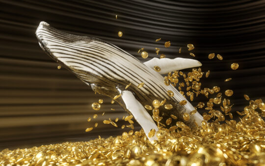 Crypto Whales are Quietly Accumulating This Crypto Coin – What Do They Know?