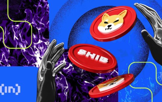 Over 80 Million Shiba Inu (SHIB) Burned as Lead Developer Suggests AI Pivot