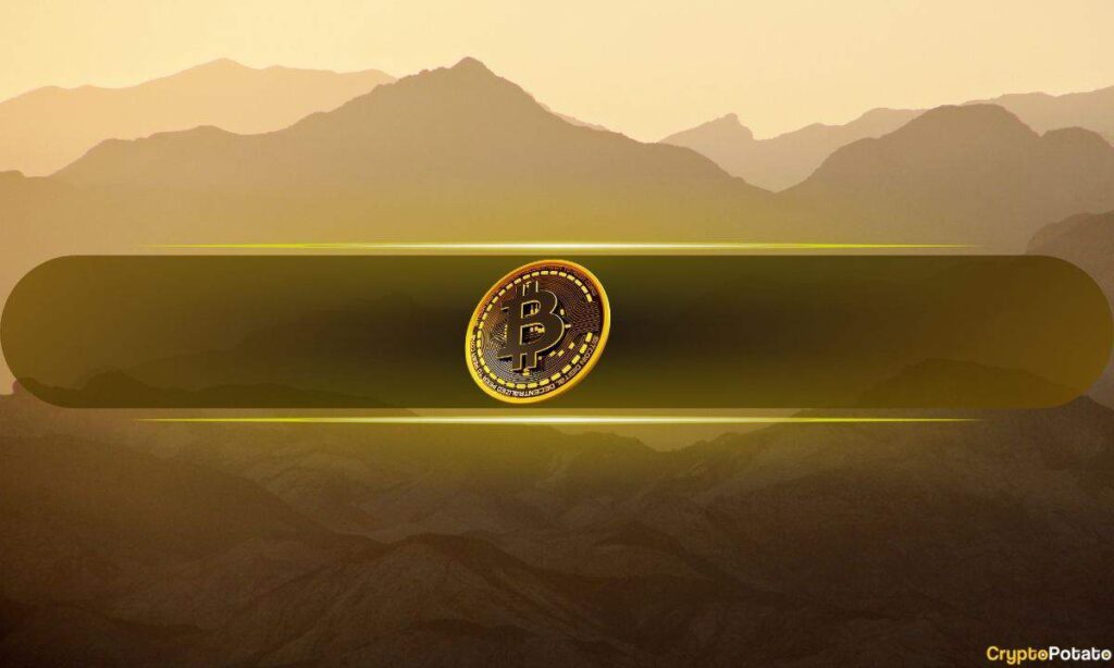 These Bitcoin L2 Solutions Could Drive Institutional Adoption: Report