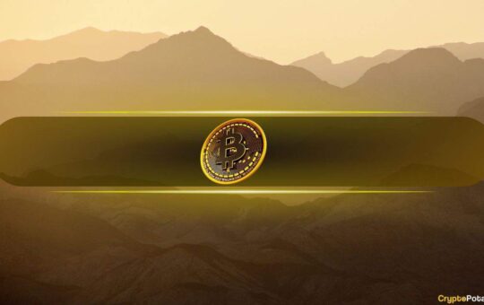 These Bitcoin L2 Solutions Could Drive Institutional Adoption: Report