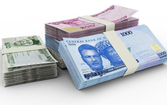 Volatile Nigerian Currency Rallies 12%, Becomes Best-Performing Currency in April