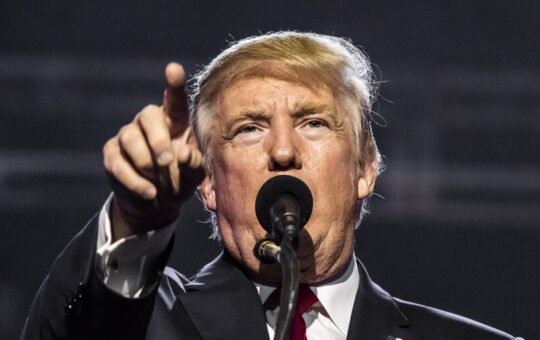 Donald Trump and Bitcoin: From 'Not a Fan' to Crypto Candidate