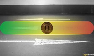 Spot Buying Drives BTC Rally as Market Awaits Fed Rate Cut: Bitfinex