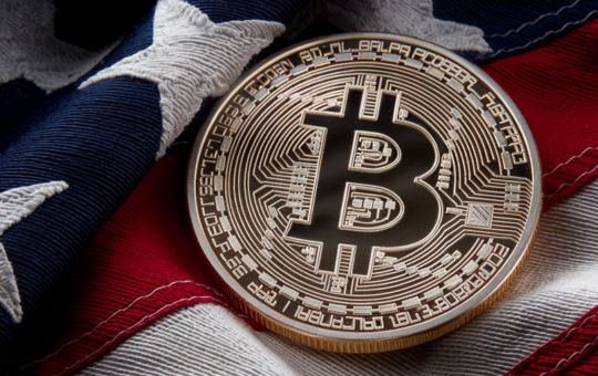 Bitcoin Is Winning on Election Day—These Altcoins Are Doing Even Better