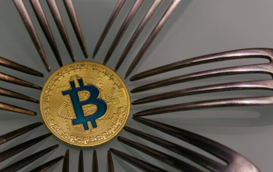 Cobra Warns of a New Bitcoin Soft Fork Next Year