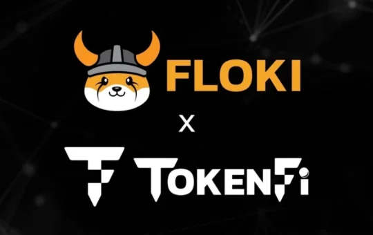 flokixtokenfi