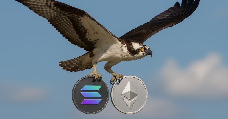 REX-Osprey Ethereum, Solana staked ETFs may launch soon as SEC raises no objections