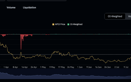 API3 shorts in focus