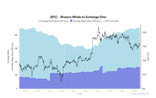 BTC Binance Whale to Exchange Flow