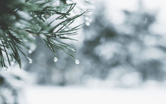 Crypto Trading Activity Hits Yearly Lows as Holiday Lull Freezes Markets