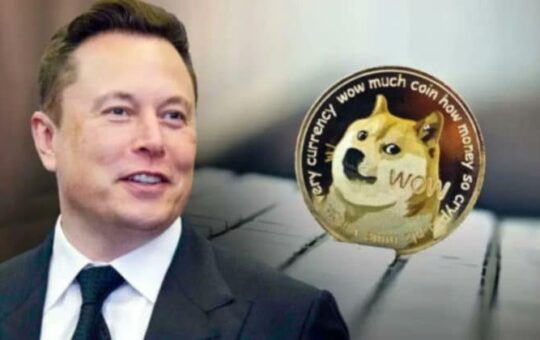 Elon Musk says SpaceX may put Dogecoin on the moon next year